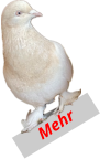Mehr