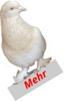 Mehr