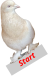 Start